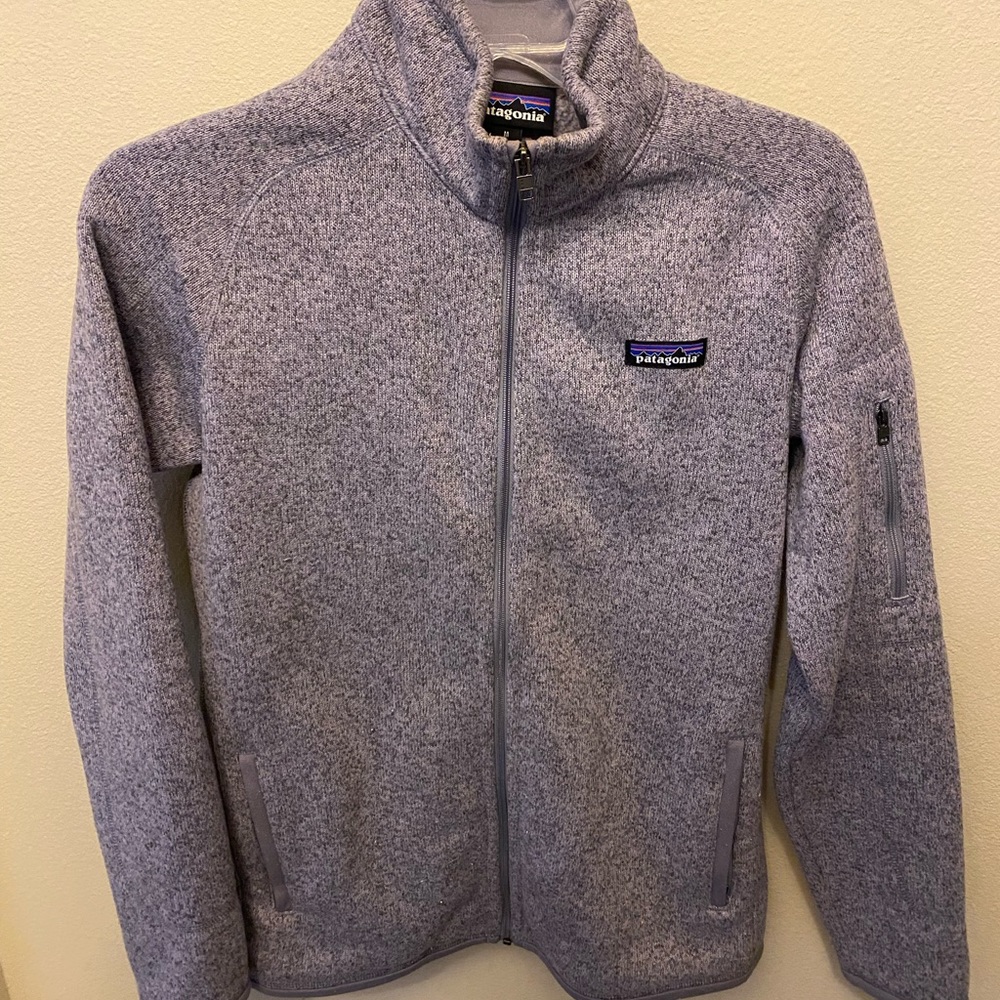 Patagonia purple-ish grey zip up sweater. Never worn. Perfect condition!